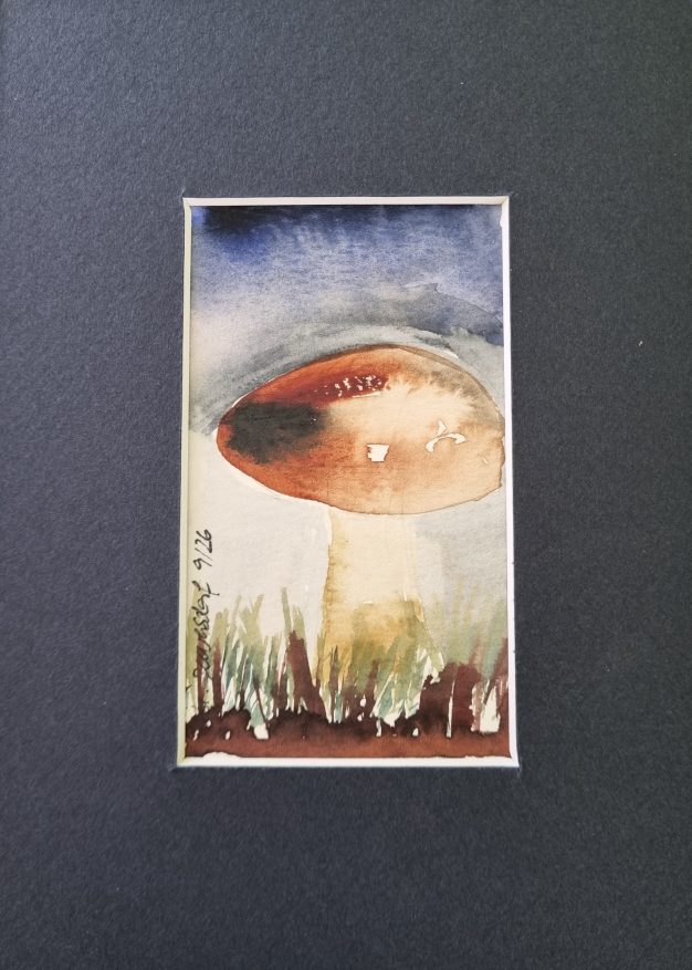 Nr. 732, Kleiner Pilz, 13x18, 5 €