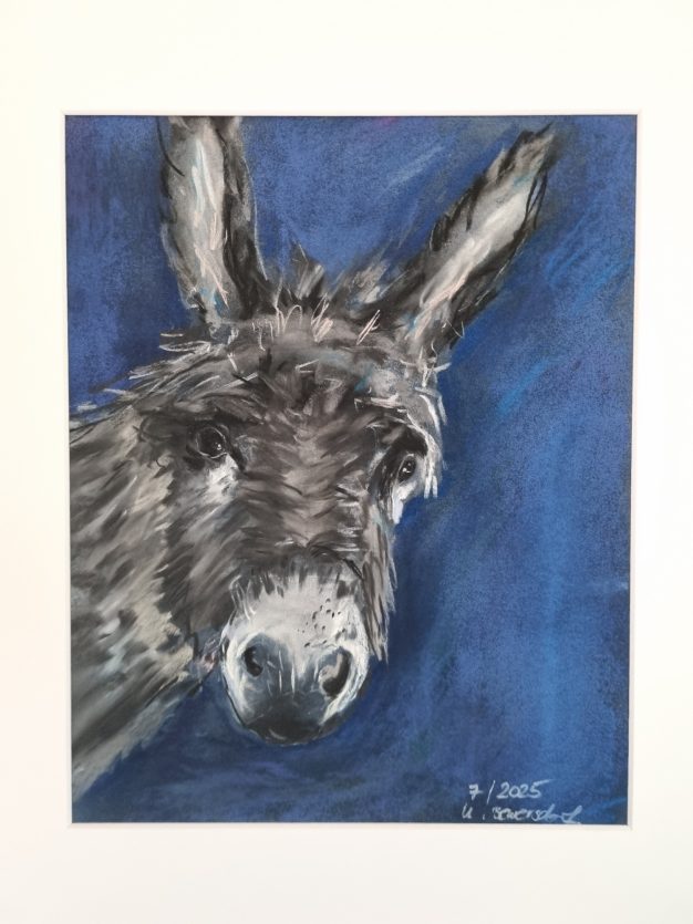 Nr. 635, Esel, 30x40, 25 €